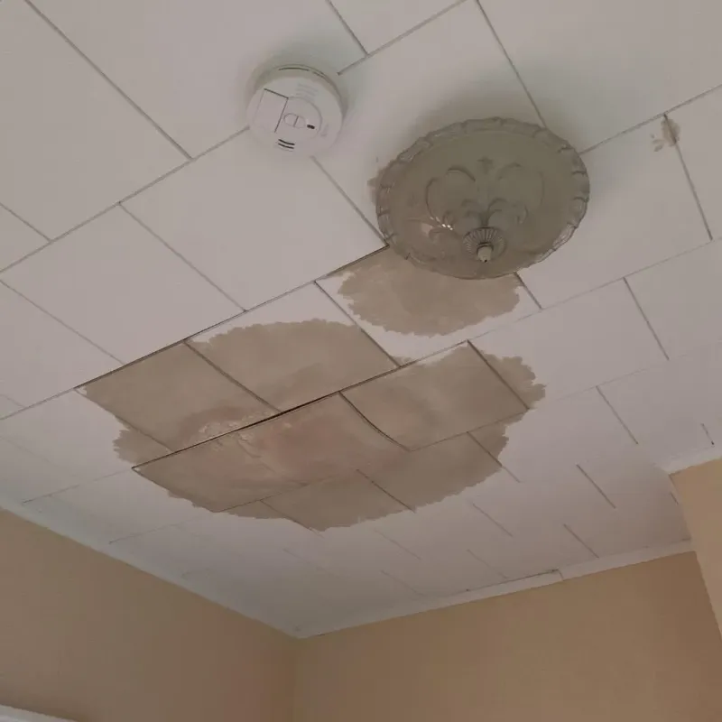 Ceiling Water Damage Repair in Guildhall, VT