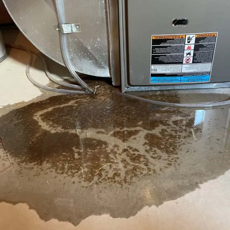 Pipe Burst and Leak Restoration in Guildhall, VT